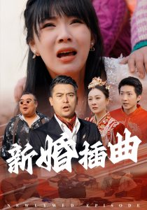 新婚插曲全集(大结局)